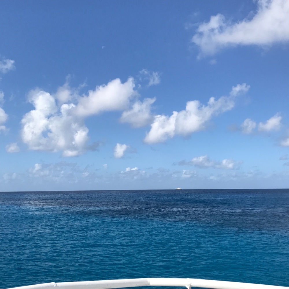 Meet your Posher, Marcelle